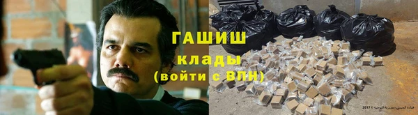 крисы Коряжма