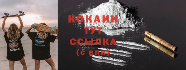 ешки Корсаков