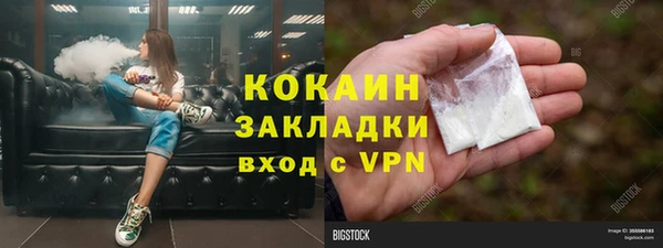крисы Коряжма