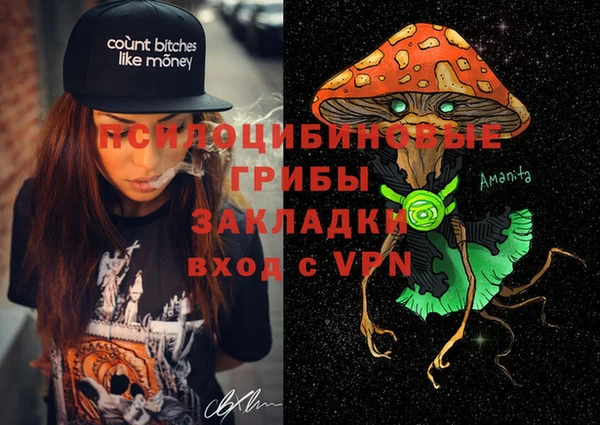 крисы Коряжма
