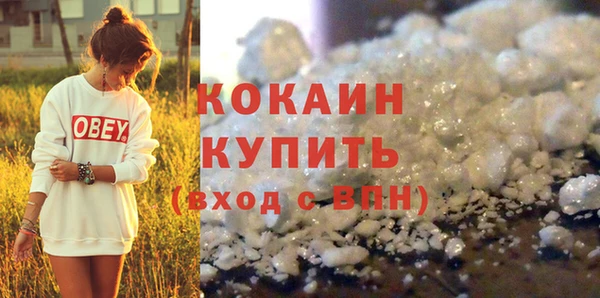 крисы Коряжма