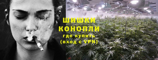 ешки Корсаков