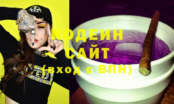 ешки Корсаков