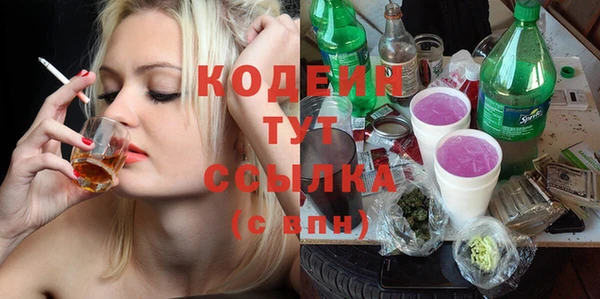 крисы Коряжма