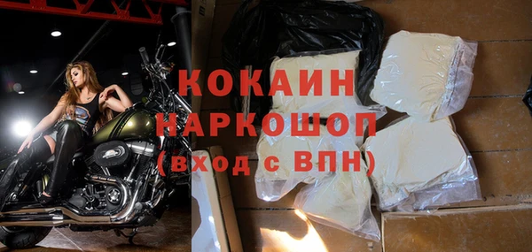 ешки Корсаков