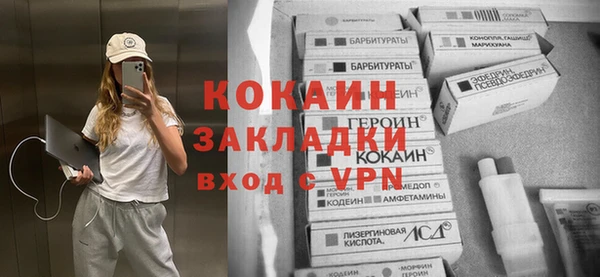 ешки Корсаков