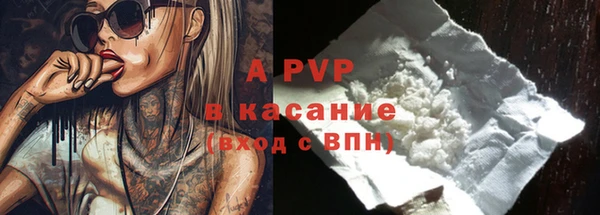 ешки Корсаков
