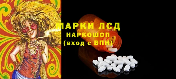 крисы Коряжма